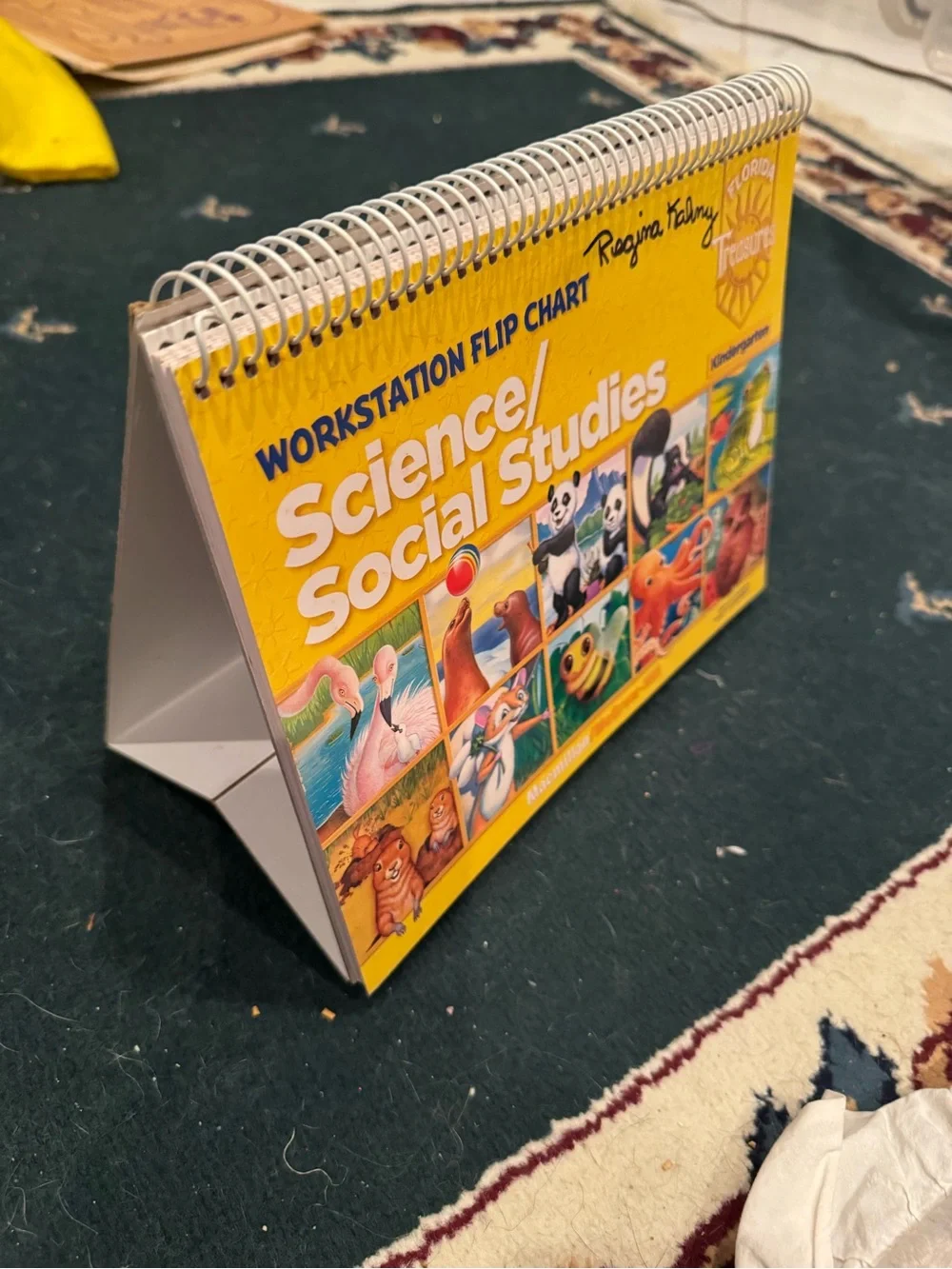 Educational Children’s Book Set - Multicolor